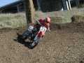 cr02.jpg